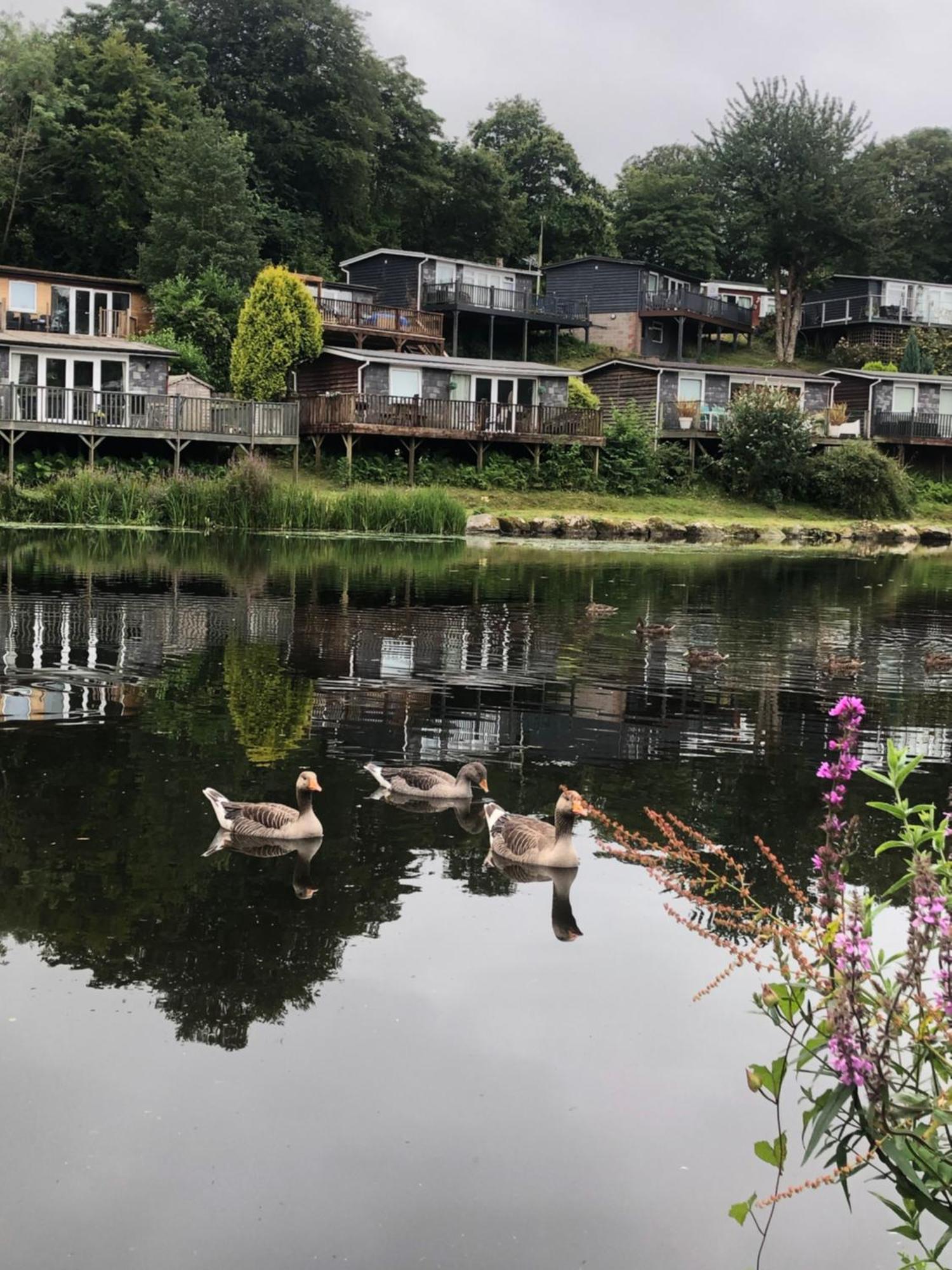 Chalet 64, Lakeside, Glan Gwna Holiday Park Κερνάρφον Εξωτερικό φωτογραφία